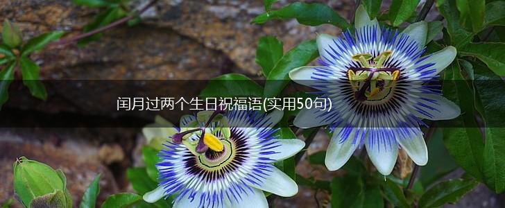 闰月过两个生日祝福语(实用50句),第1张