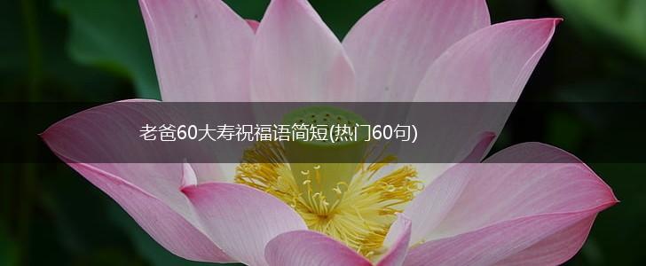 老爸60大寿祝福语简短(热门60句),第1张