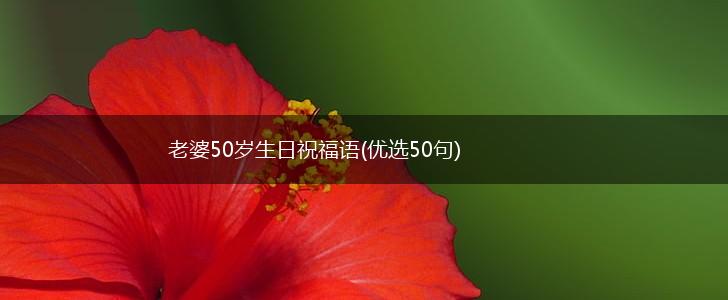 老婆50岁生日祝福语(优选50句),第1张