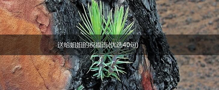 送给姐姐的祝福语(优选40句),第1张 送给姐姐的祝福语(优选40句),第1张