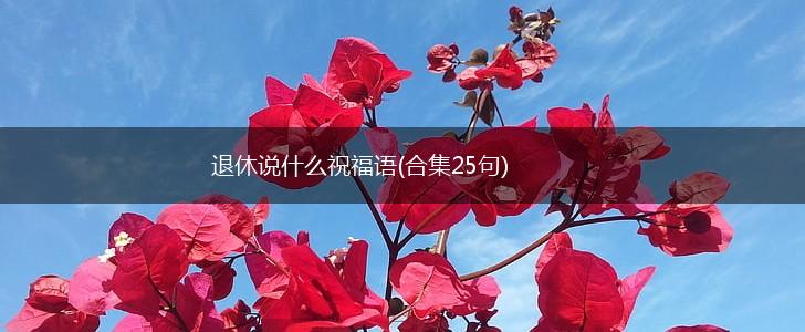 退休说什么祝福语(合集25句),第1张 退休说什么祝福语(合集25句),第1张