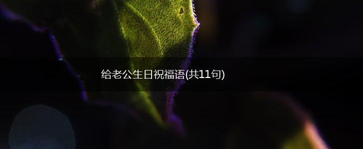 给老公生日祝福语(共11句),第1张
