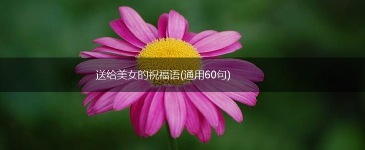 送给美女的祝福语(通用60句),第1张