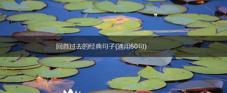 回首过去的经典句子(通用60句),第1张