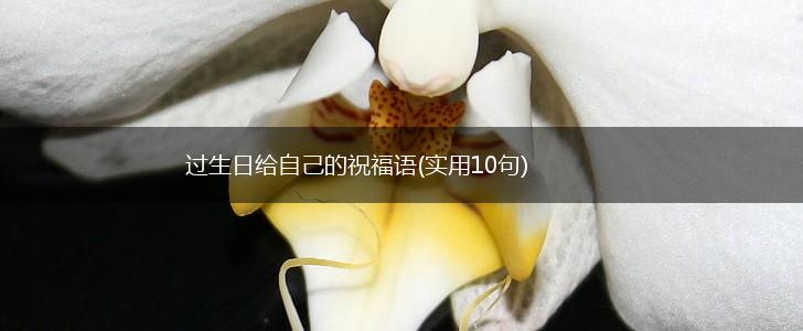过生日给自己的祝福语(实用10句),第1张