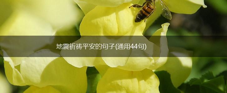 地震祈祷平安的句子(通用44句),第1张