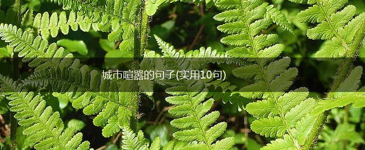 城市喧嚣的句子(实用10句),第1张