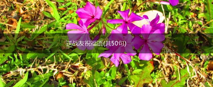 送战友祝福语(共50句),第1张 送战友祝福语(共50句),第1张