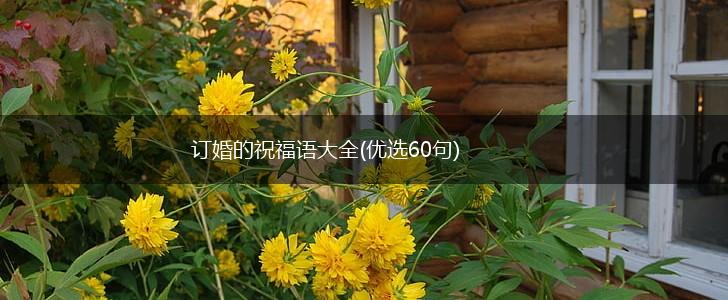 订婚的祝福语大全(优选60句),第1张