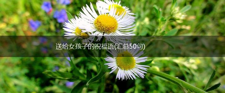 送给女孩子的祝福语(汇总50句),第1张 送给女孩子的祝福语(汇总50句),第1张