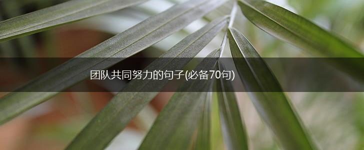 团队共同努力的句子(必备70句),第1张
