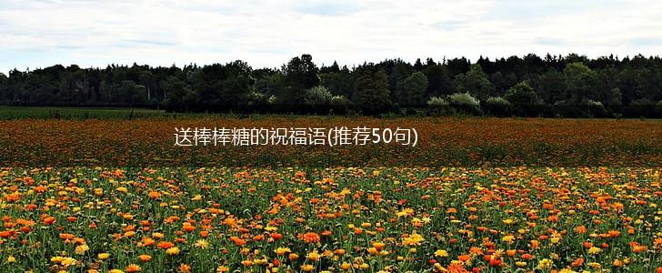 送棒棒糖的祝福语(推荐50句),第1张