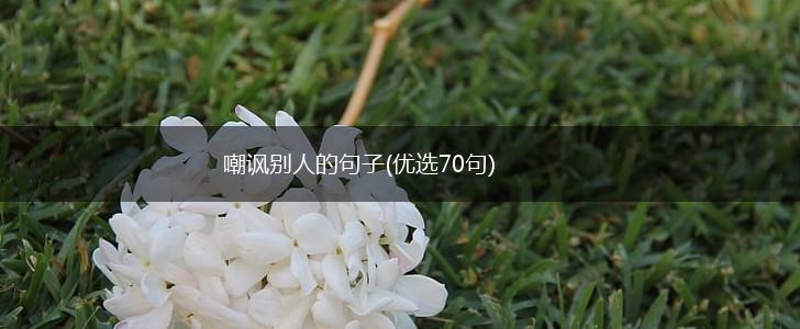 嘲讽别人的句子(优选70句),第1张