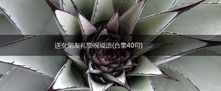 送女朋友礼物祝福语(合集40句),第1张 送女朋友礼物祝福语(合集40句),第1张