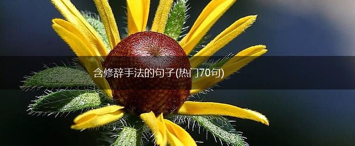 含修辞手法的句子(热门70句),第1张