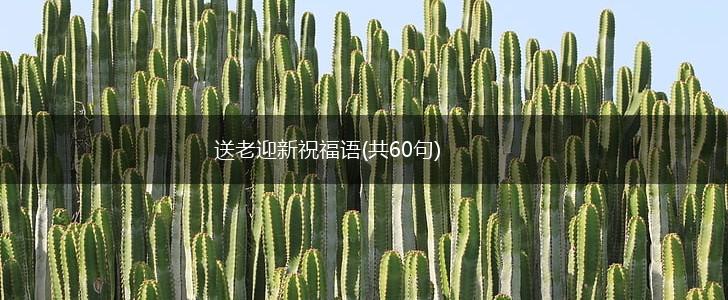 送老迎新祝福语(共60句),第1张