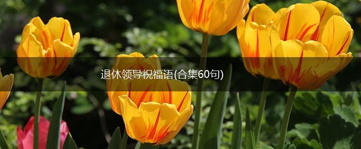 退休领导祝福语(合集60句),第1张 退休领导祝福语(合集60句),第1张