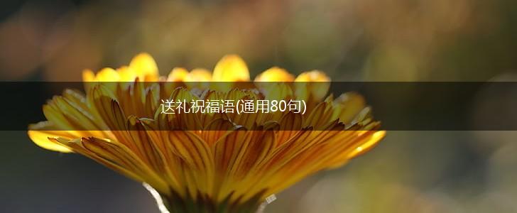 送礼祝福语(通用80句),第1张 送礼祝福语(通用80句),第1张
