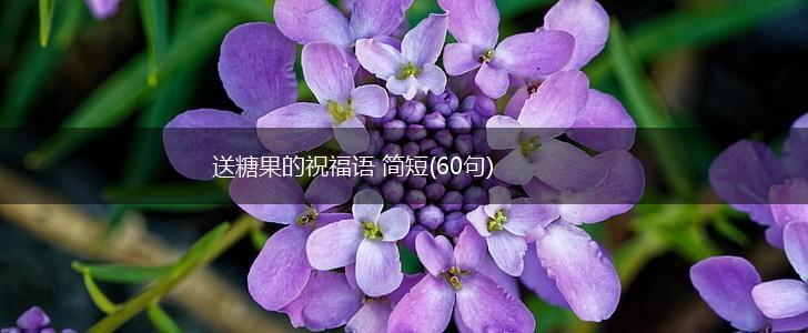 送糖果的祝福语 简短(60句),第1张 送糖果的祝福语 简短(60句),第1张