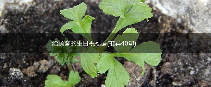 给顾客的生日祝福语(推荐40句),第1张