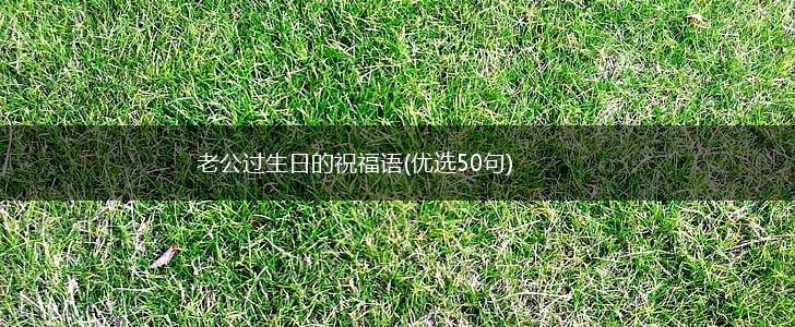 老公过生日的祝福语(优选50句),第1张 老公过生日的祝福语(优选50句),第1张