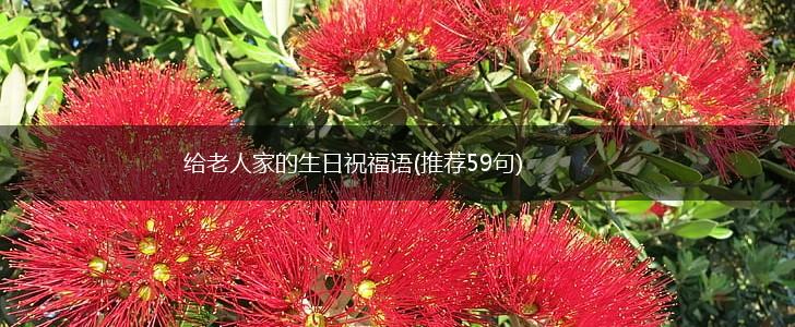 给老人家的生日祝福语(推荐59句),第1张 给老人家的生日祝福语(推荐59句),第1张