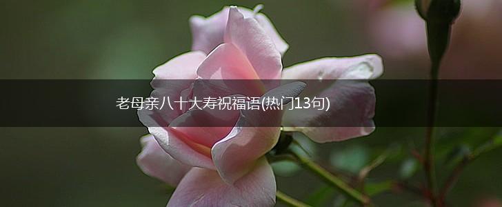 老母亲八十大寿祝福语(热门13句),第1张