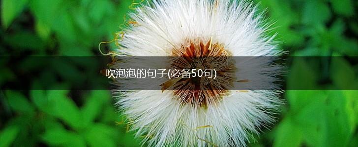 吹泡泡的句子(必备50句),第1张
