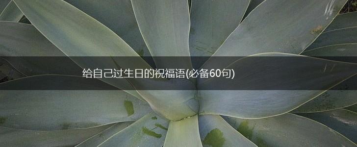 给自己过生日的祝福语(必备60句),第1张 给自己过生日的祝福语(必备60句),第1张