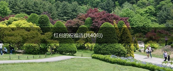 红包的祝福语(共40句),第1张 红包的祝福语(共40句),第1张