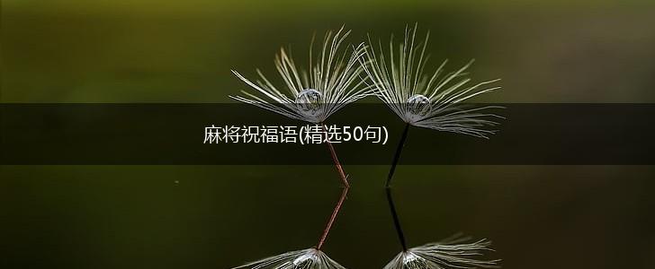 麻将祝福语(精选50句),第1张
