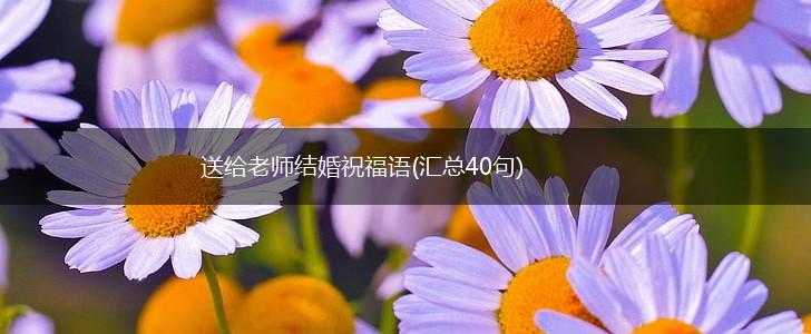 送给老师结婚祝福语(汇总40句),第1张 送给老师结婚祝福语(汇总40句),第1张