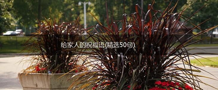 给家人的祝福语(精选50句),第1张