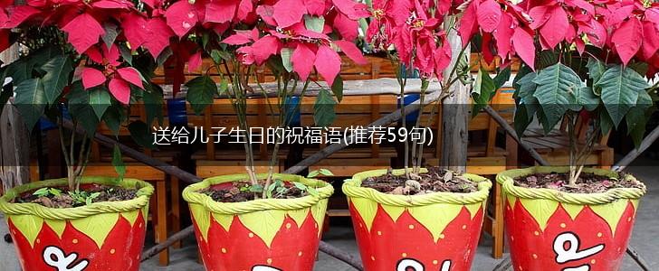 送给儿子生日的祝福语(推荐59句),第1张 送给儿子生日的祝福语(推荐59句),第1张