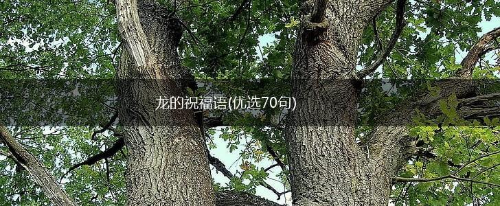 龙的祝福语(优选70句),第1张