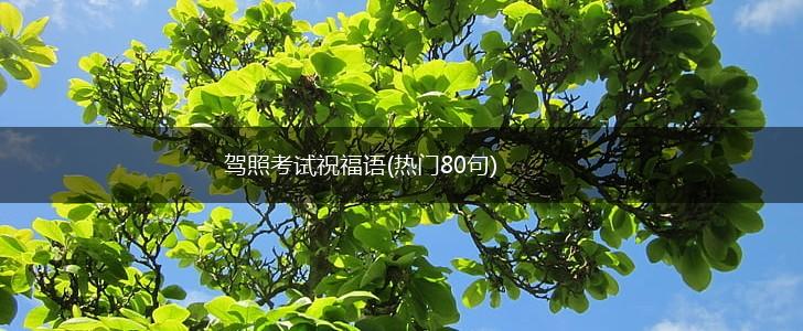 驾照考试祝福语(热门80句),第1张