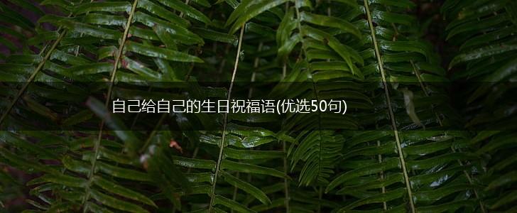 自己给自己的生日祝福语(优选50句),第1张