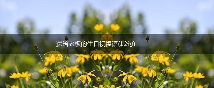 送给老板的生日祝福语(12句),第1张