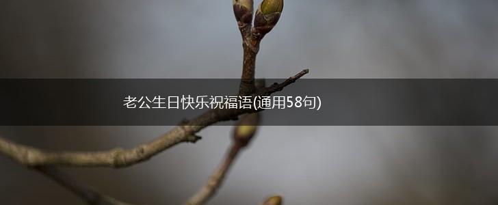 老公生日快乐祝福语(通用58句),第1张