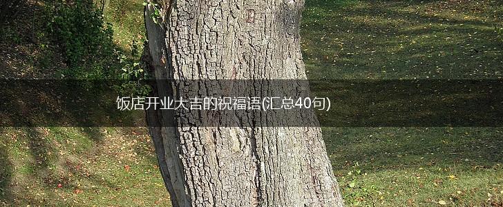 饭店开业大吉的祝福语(汇总40句),第1张