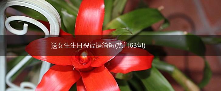 送女生生日祝福语简短(热门63句),第1张 送女生生日祝福语简短(热门63句),第1张