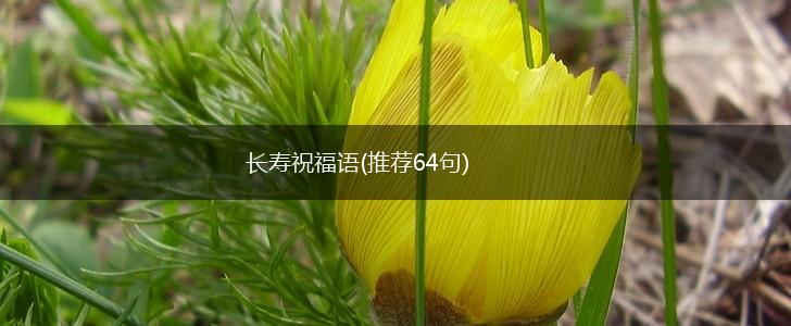 长寿祝福语(推荐64句),第1张
