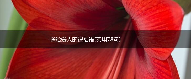送给爱人的祝福语(实用78句),第1张