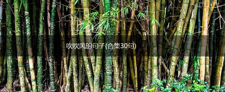 吹吹风的句子(合集30句),第1张