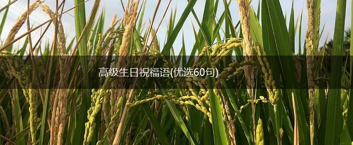 高级生日祝福语(优选60句),第1张
