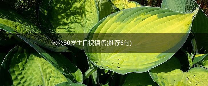 老公30岁生日祝福语(推荐6句),第1张