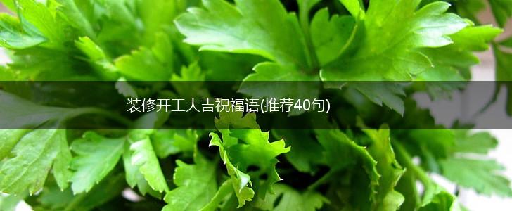 装修开工大吉祝福语(推荐40句),第1张