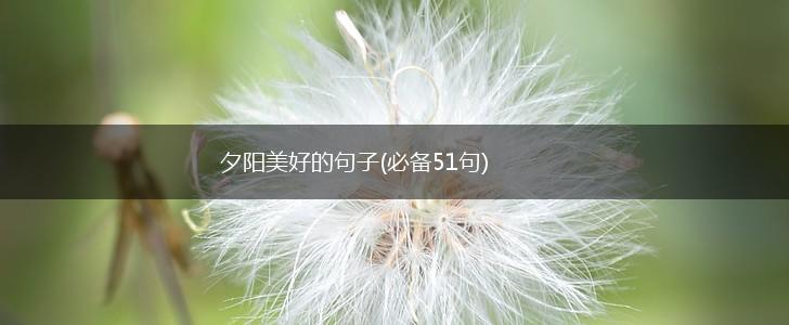 夕阳美好的句子(必备51句),第1张
