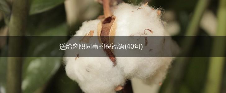 送给离职同事的祝福语(40句),第1张