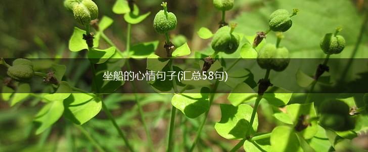 坐船的心情句子(汇总58句),第1张